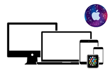 We FIX any Apple device